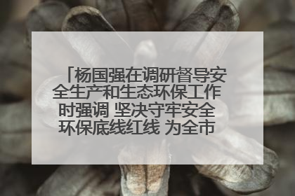杨国强在调研督导安全生产和生态环保工作时强调 坚决守牢安全环保底线红线 为全市经济社会高质量发展提供坚强保障