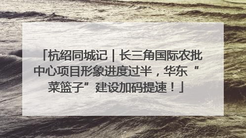 杭绍同城记｜长三角国际农批中心项目形象进度过半，华东“菜篮子”建设加码提速！