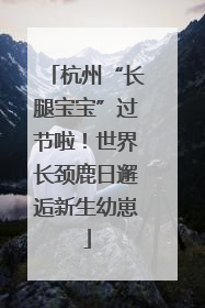 杭州“长腿宝宝”过节啦！世界长颈鹿日邂逅新生幼崽