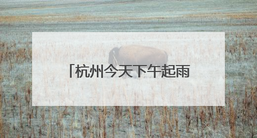 杭州今天下午起雨渐止，白塔公园“绣球花海”限时上线
