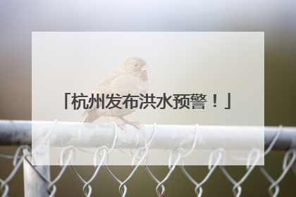 杭州发布洪水预警！