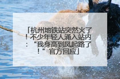 杭州地铁站突然火了！不少年轻人涌入站内：“我身高到凤起路了！”官方回应