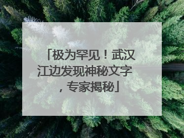 极为罕见！武汉江边发现神秘文字，专家揭秘