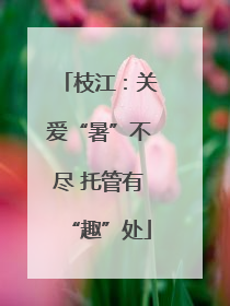 枝江：关爱“暑”不尽 托管有“趣”处