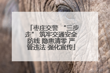 枣庄交警 “三步走” 筑牢交通安全防线 隐患清零 严管违法 强化宣传