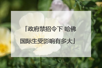 政府禁招令下 哈佛国际生受影响有多大