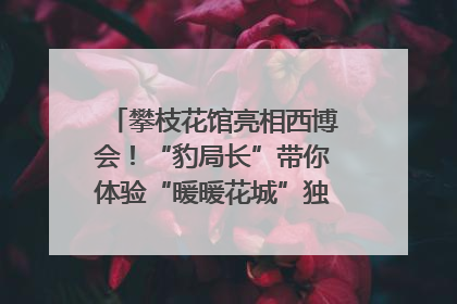 攀枝花馆亮相西博会！“豹局长”带你体验“暖暖花城”独特魅力｜西博视界