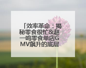 效率革命：揭秘零食很忙&赵一鸣零食单店GMV飙升的底层方法论