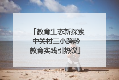 教育生态新探索 中关村三小跨龄教育实践引热议
