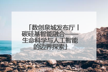 数创泉城发布厅丨碳硅基智能融合——生命科学与人工智能的边界探索
