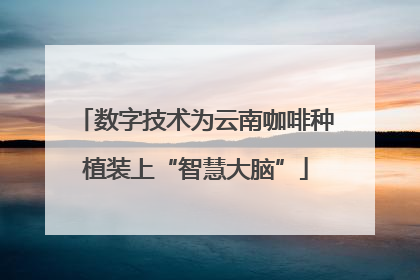 数字技术为云南咖啡种植装上“智慧大脑”