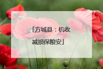 方城县：机收减损保粮安