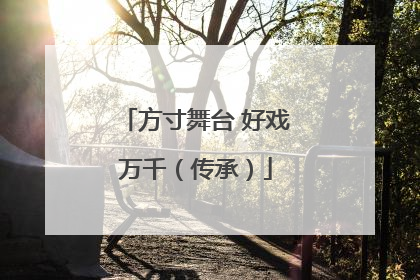 方寸舞台 好戏万千（传承）