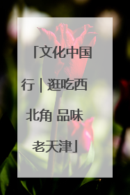 文化中国行｜逛吃西北角 品味老天津