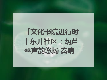 文化书院进行时｜东升社区：葫芦丝声韵悠扬 奏响文化和谐曲
