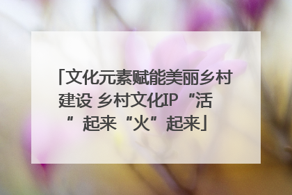 文化元素赋能美丽乡村建设 乡村文化IP“活”起来“火”起来