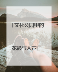 文化公园里的花影与人声