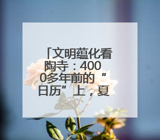 文明蕴化看陶寺：4000多年前的“日历”上，夏至晨光见证先民智慧