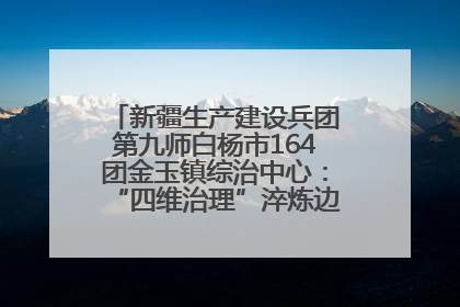 新疆生产建设兵团第九师白杨市164团金玉镇综治中心：“四维治理”淬炼边疆“枫桥样本”