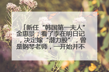 新任“韩国第一夫人”金惠景：看了李在明日记，决定嫁“潜力股”，曾是钢琴老师，一开始并不支持丈夫从政