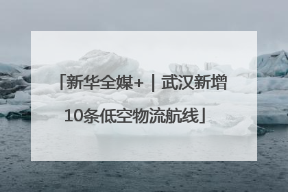 新华全媒+｜武汉新增10条低空物流航线