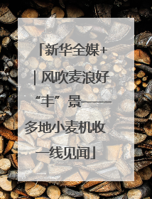 新华全媒+｜风吹麦浪好“丰”景——多地小麦机收一线见闻