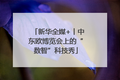 新华全媒+丨中东欧博览会上的“数智”科技秀