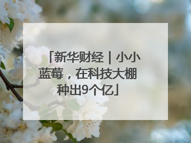 新华财经｜小小蓝莓，在科技大棚种出9个亿