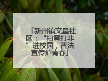 新州镇文星社区：“扫黄打非”进校园，普法宣传护青春