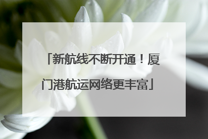 新航线不断开通！厦门港航运网络更丰富
