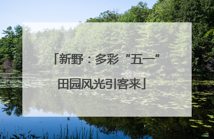 新野：多彩“五一” 田园风光引客来