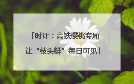 时评：高铁樱桃专厢 让“枝头鲜”每日可见