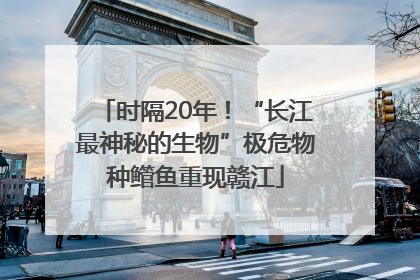 时隔20年！“长江最神秘的生物”极危物种鳤鱼重现赣江