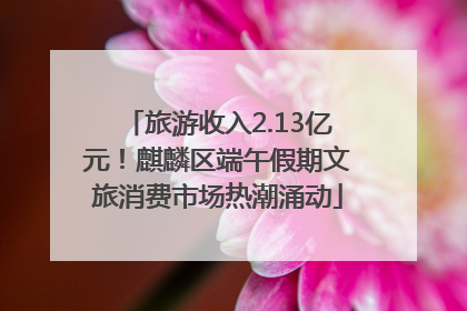 旅游收入2.13亿元！麒麟区端午假期文旅消费市场热潮涌动