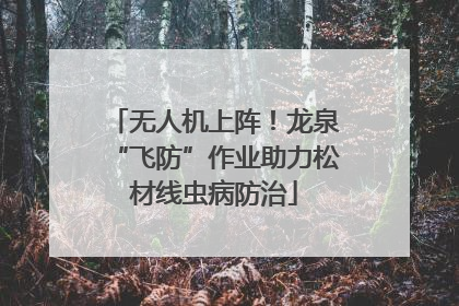 无人机上阵！龙泉“飞防”作业助力松材线虫病防治