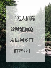 无人机高效赋能澜沧发展河乡甘蔗产业