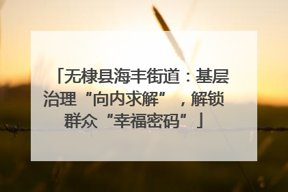 无棣县海丰街道：基层治理“向内求解”，解锁群众“幸福密码”