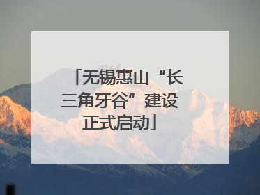 无锡惠山“长三角牙谷”建设正式启动