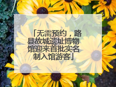 无需预约，路县故城遗址博物馆迎来首批实名制入馆游客