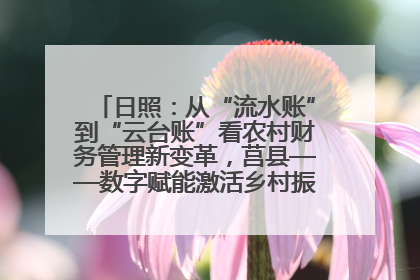 日照：从“流水账”到“云台账”看农村财务管理新变革，莒县——数字赋能激活乡村振兴“一池春水”