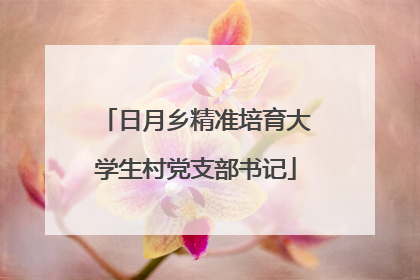 日月乡精准培育大学生村党支部书记