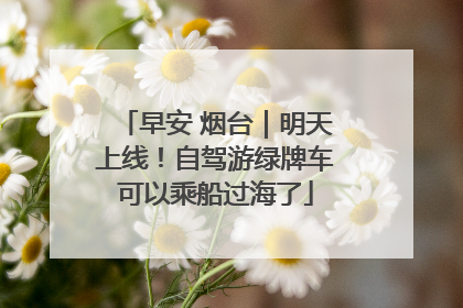 早安 烟台｜明天上线！自驾游绿牌车可以乘船过海了