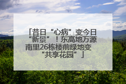 昔日“心病”变今日“新景”！东高地万源南里26栋楼前绿地变“共享花园”