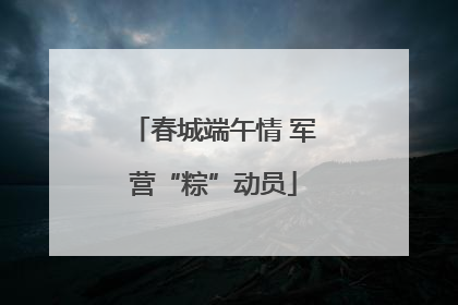 春城端午情 军营“粽”动员
