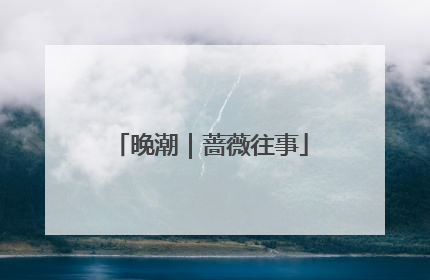 晚潮｜蔷薇往事