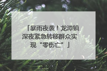 暴雨夜袭！龙潭镇深夜紧急转移群众实现“零伤亡”