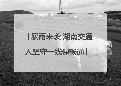 暴雨来袭 湖南交通人坚守一线保畅通