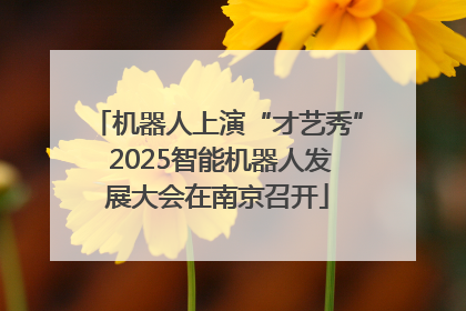 机器人上演“才艺秀” 2025智能机器人发展大会在南京召开