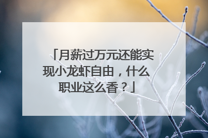 月薪过万元还能实现小龙虾自由，什么职业这么香？