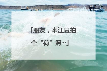 朋友，来江夏拍个“荷”照~